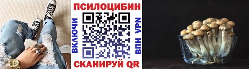 Галлюциногенные грибы GOLDEN TEACHER  кракен tor  Камышлов 