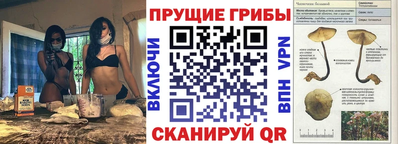 Галлюциногенные грибы мицелий Камышлов